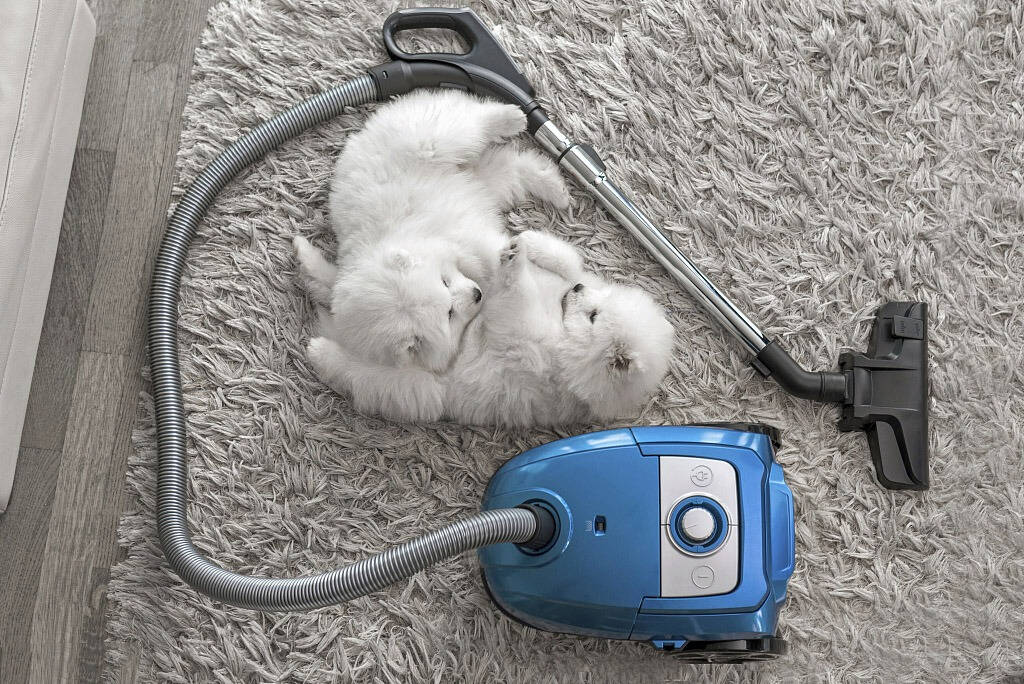 Jasa_Import_Vacuum_Cleaner.jpg